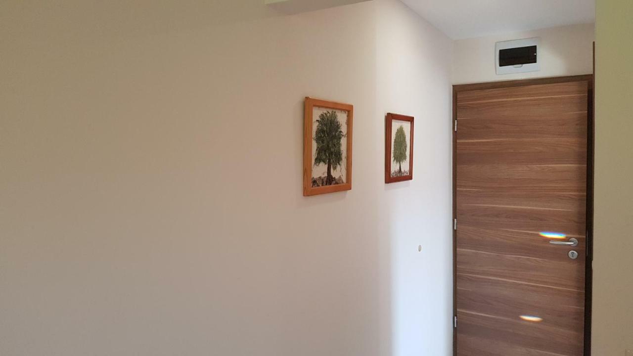 Apartmán Tuenderlak Vendeghaz Balatonfüred Exteriér fotografie